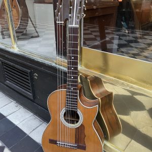 DEL VECCHIO HARP-GUITAR c.1957