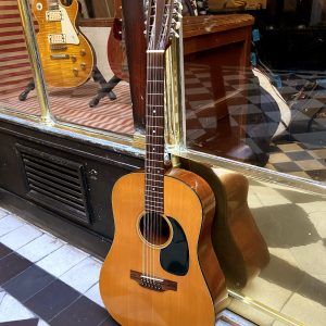 MARTIN D-12 20 1970