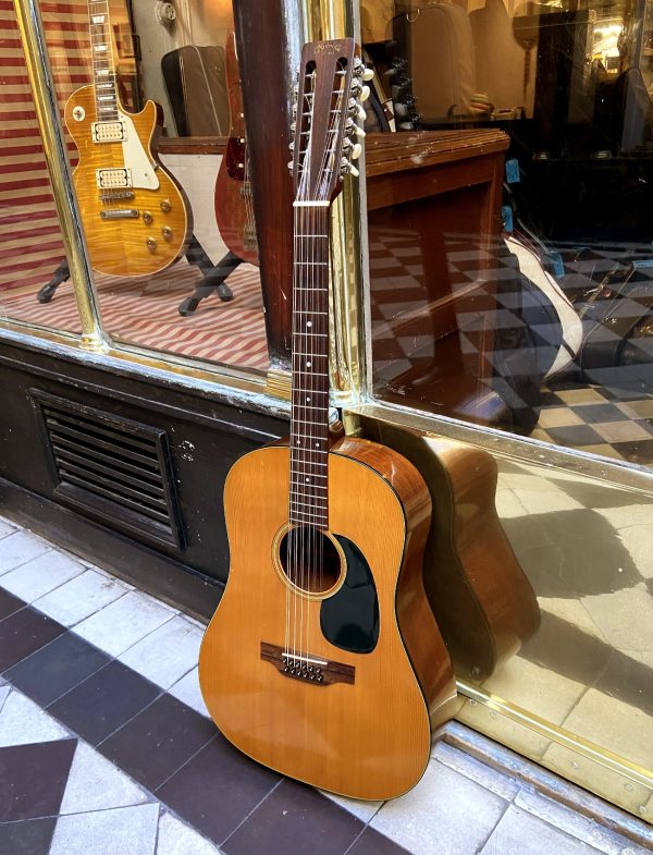 MARTIN D-12 20 1970