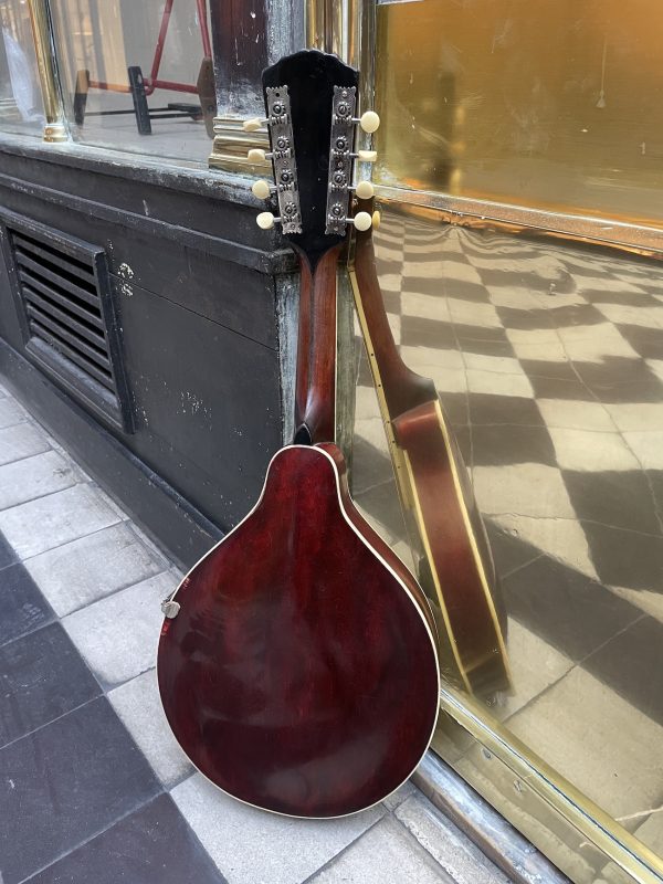 GIBSON MANDOLINE STYLE A-3 1920 – Image 2