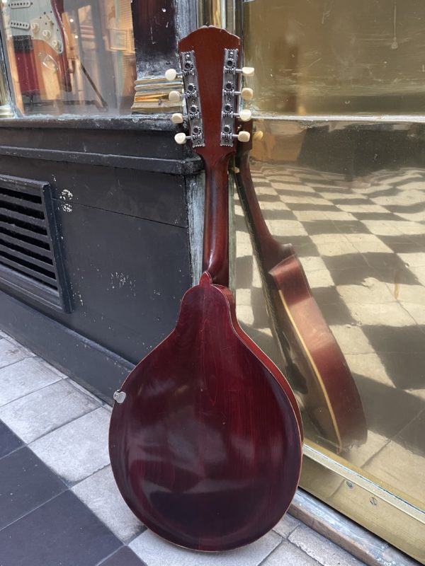 mandoline gibson a "pumpkin top" 1917