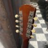 mandoline gibson a "pumpkin top" 1917