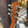 gibson es 175dn 1955 (copie)
