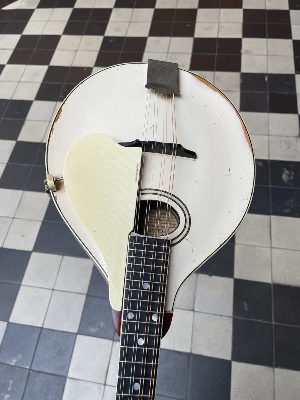 GIBSON MANDOLINE STYLE A-3 1920 – Image 5