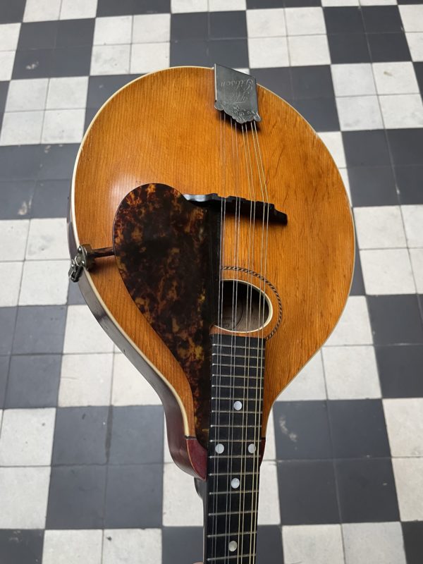 mandoline gibson a "pumpkin top" 1917