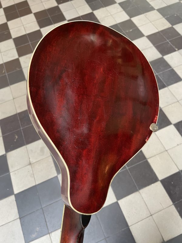 GIBSON MANDOLINE STYLE A-3 1920 – Image 6