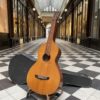 hilo style 640 hawaiian guitar c.1920