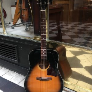 GIBSON J-45 1973