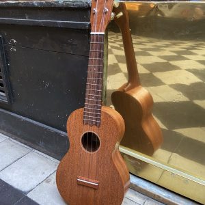 UKULELE CONCERT DOMINIQUE CHEVALIER