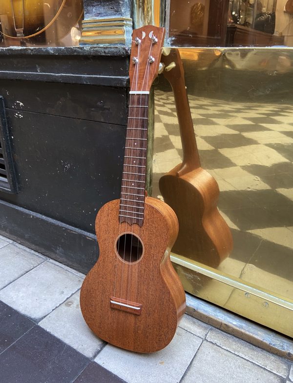 UKULELE CONCERT DOMINIQUE CHEVALIER