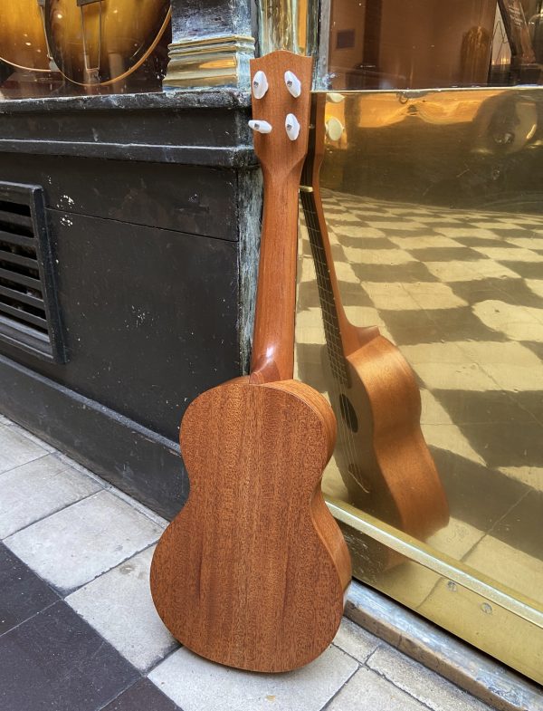 UKULELE CONCERT DOMINIQUE CHEVALIER – Image 2