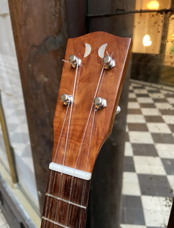 UKULELE CONCERT DOMINIQUE CHEVALIER – Image 3