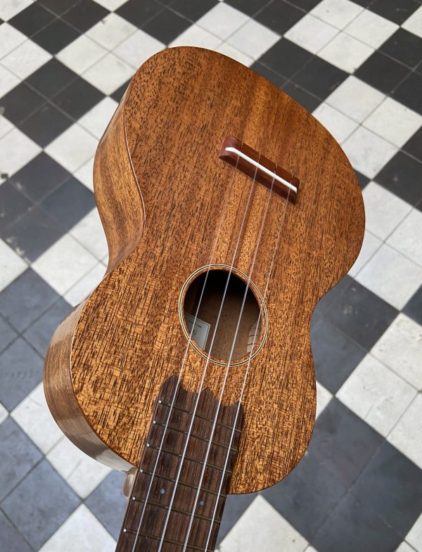 UKULELE CONCERT DOMINIQUE CHEVALIER – Image 5
