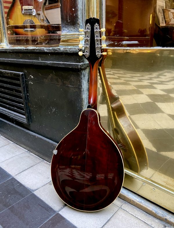 GIBSON MANDOLINE STYLE A-4 SNAKEHEAD 1923 – Image 2