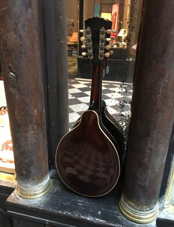 GIBSON MANDOLINE STYLE A-4 1928 – Image 2