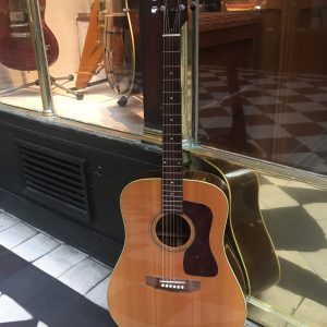 GUILD D-50