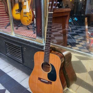 MARTIN D-18 1970