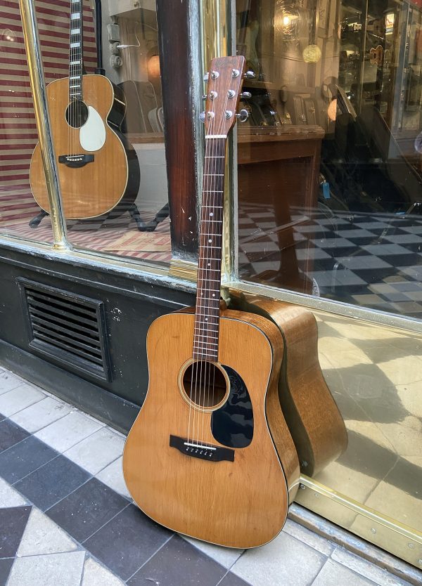 MARTIN D-18 1971