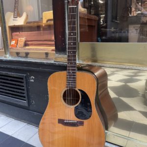 martin d 18 1974