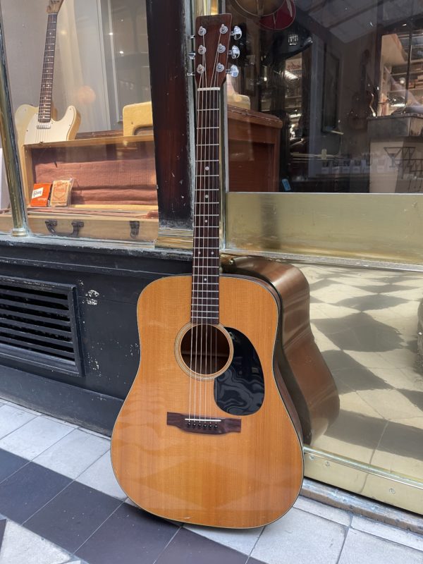 martin d 18 1974