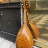 mandoline napolitaine calace 1971 (copie)