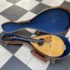 mandoline napolitaine calace 1971 (copie)