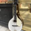 gibson mandoline style a 3 1920