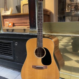 1975 MARTIN D-18