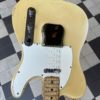 fender telecaster 1969 (copie)