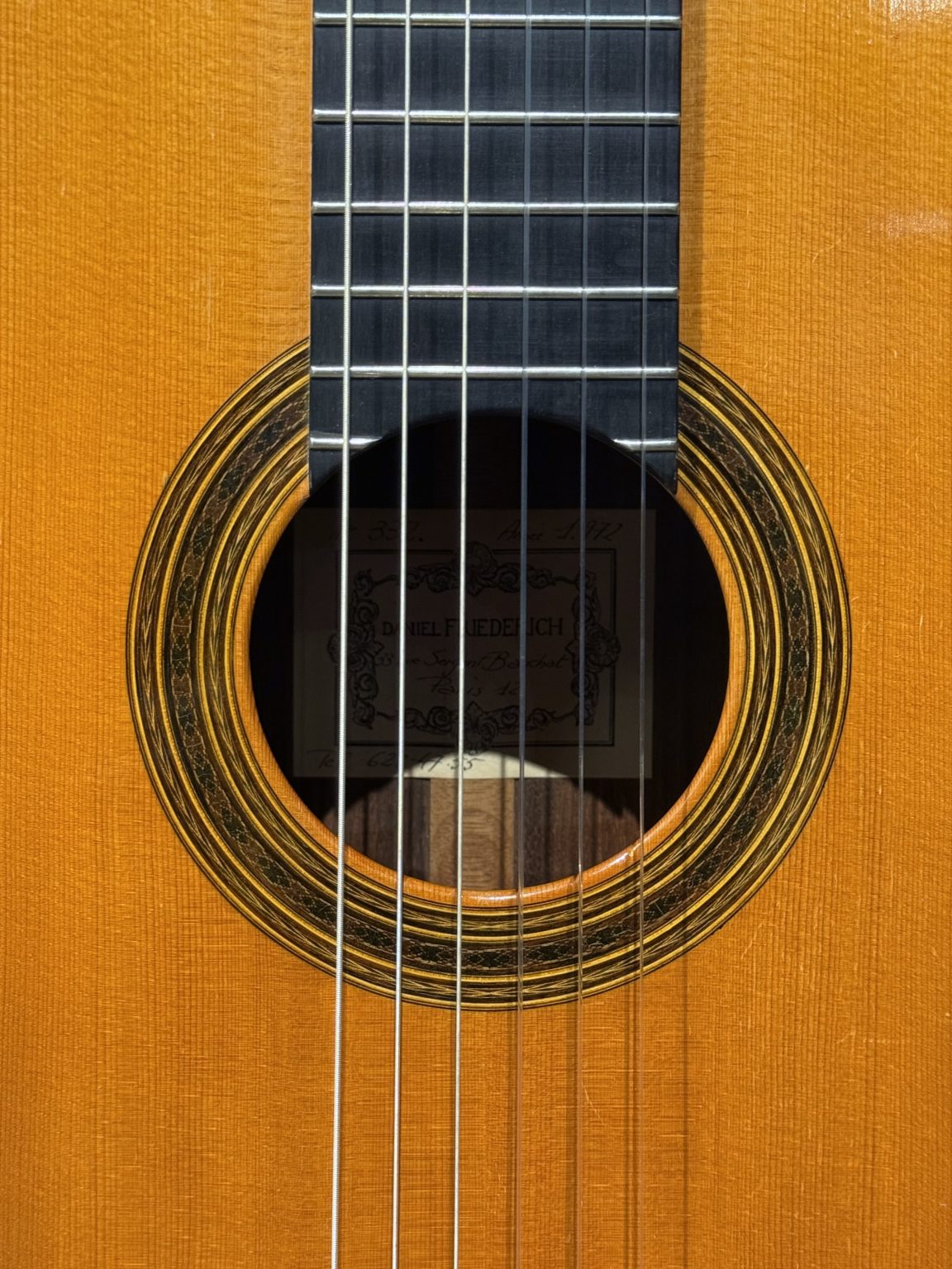 daniel friederich 1972