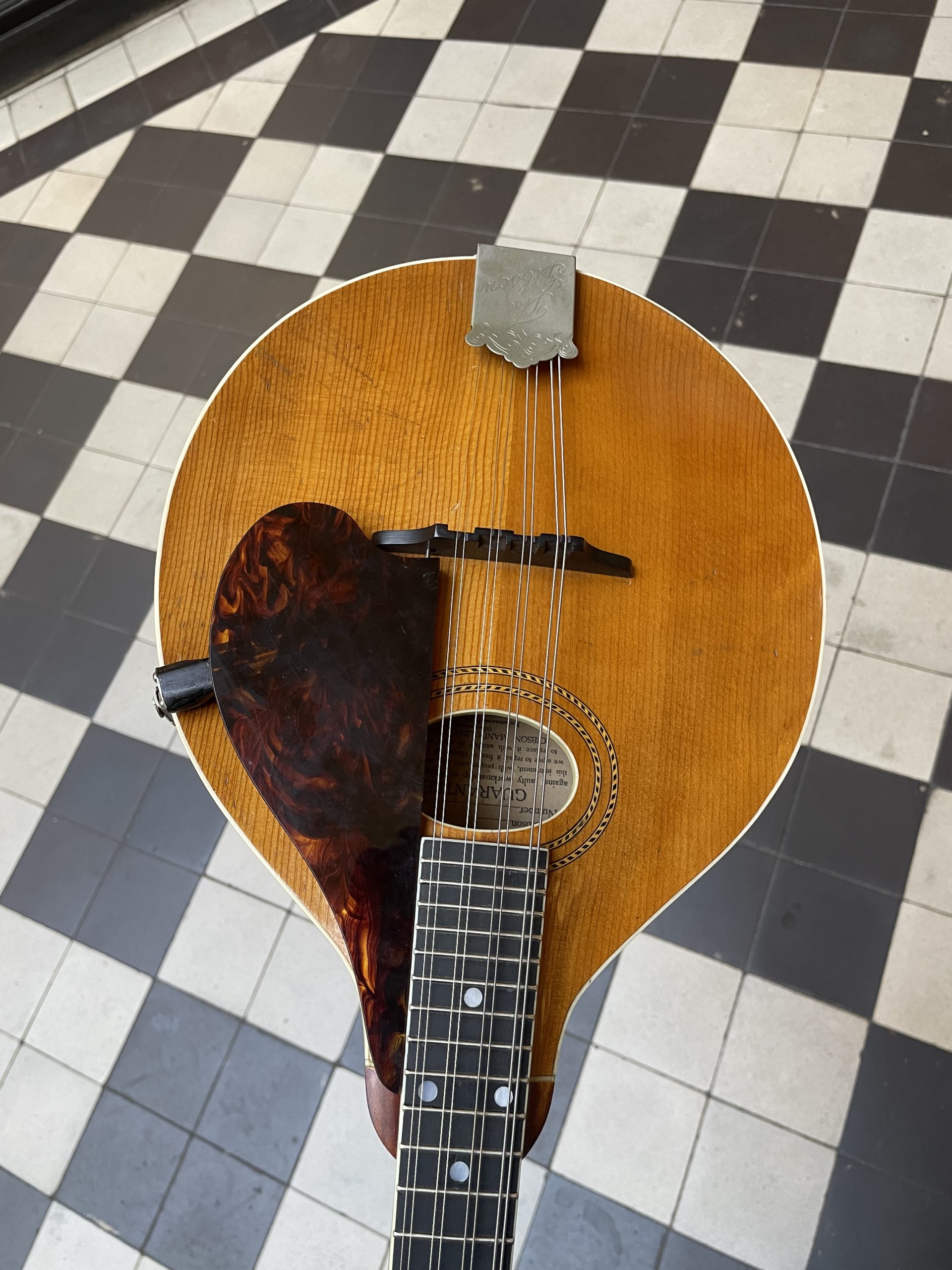 gibson mandoline a1 "pumpkin top" 1918