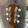 gibson es 330td 1961 (copie)
