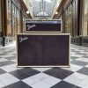 fender bassman amp 6g6 a 1962