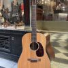 martin d 12 20 1970 (copie)