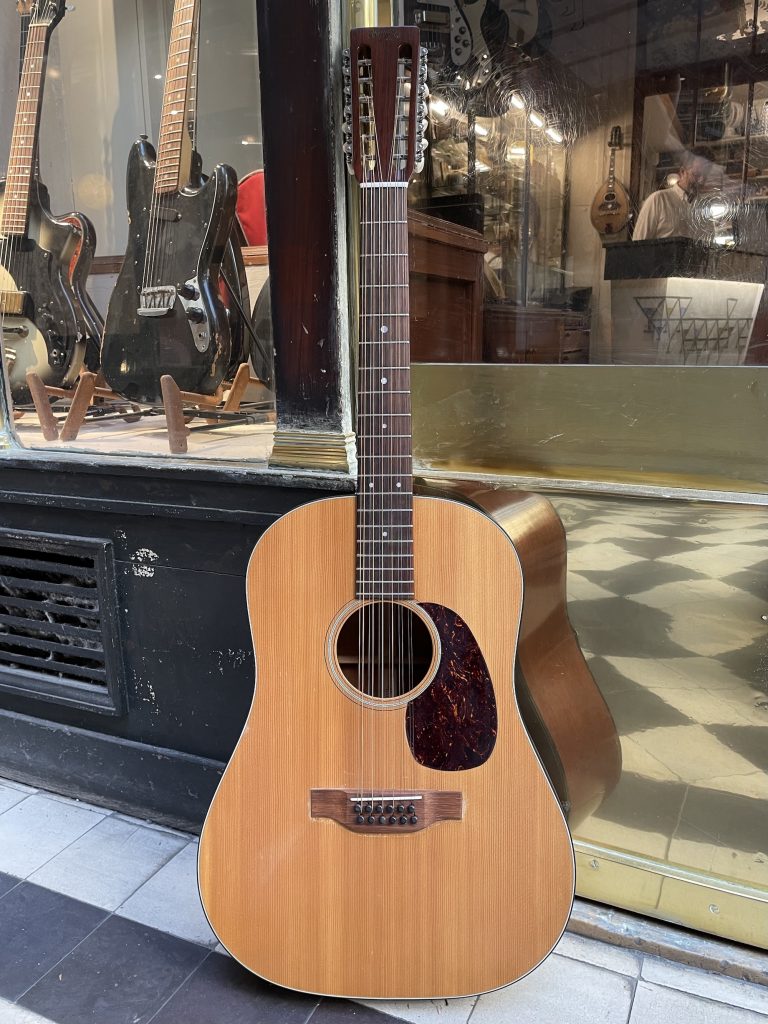 martin d 12 20 1970 (copie)