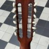 martin d 12 20 1970 (copie)