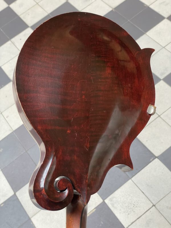 gibson mandoline f 2 ebony 1912