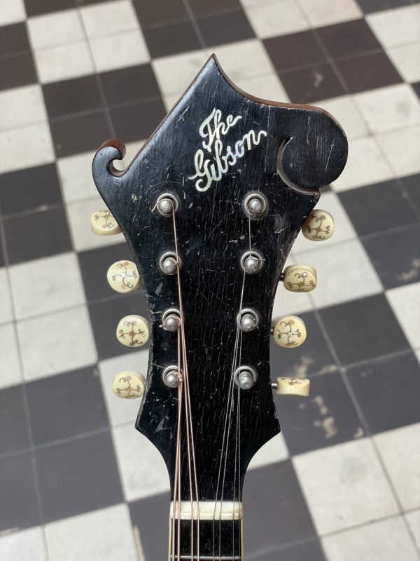 gibson mandoline f 2 ebony 1912