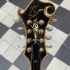 gibson mandoline style f 5 1974