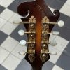 gibson mandoline style f 5 1974