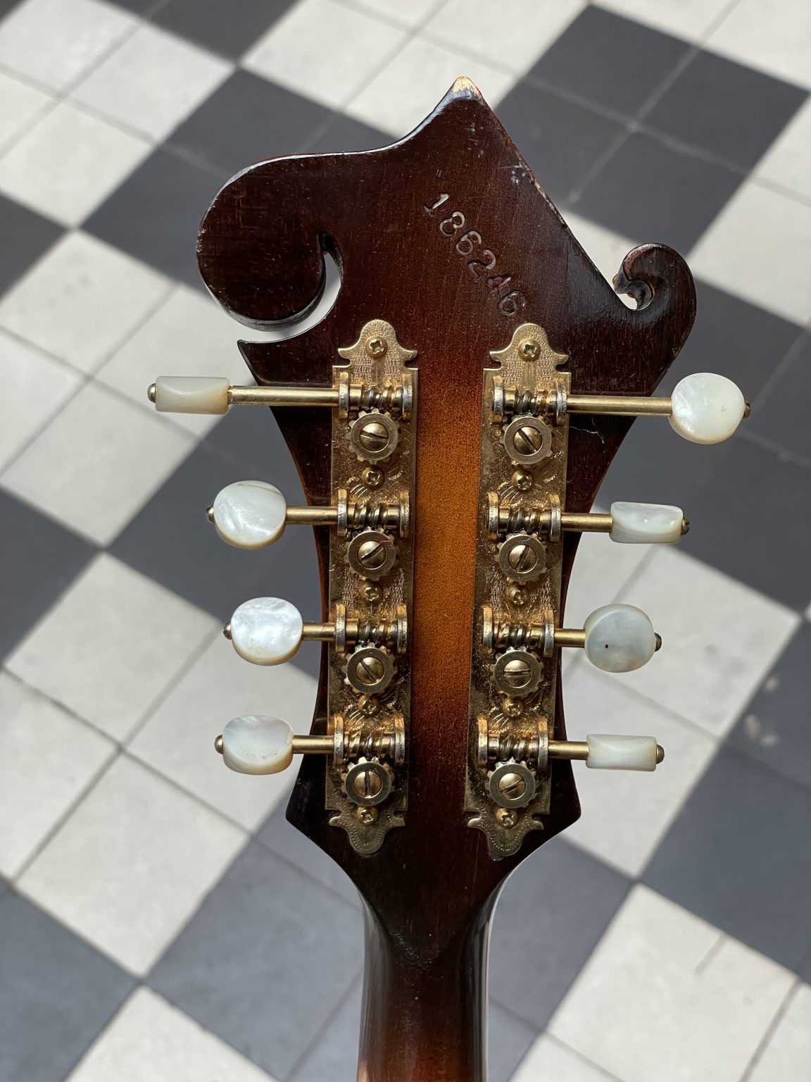 gibson mandoline style f 5 1974