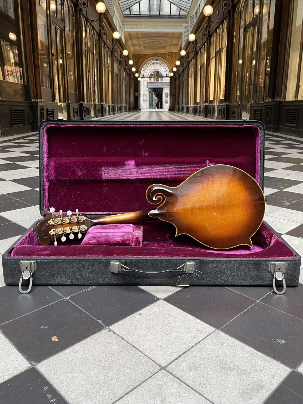 gibson mandoline style f 5 1974