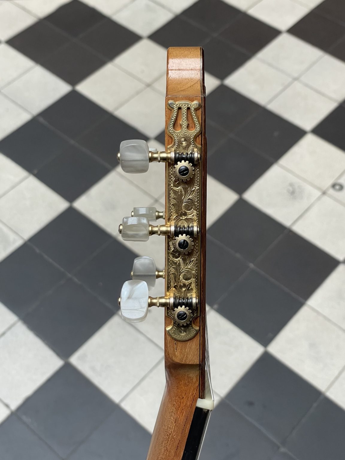 daniel friederich 1972