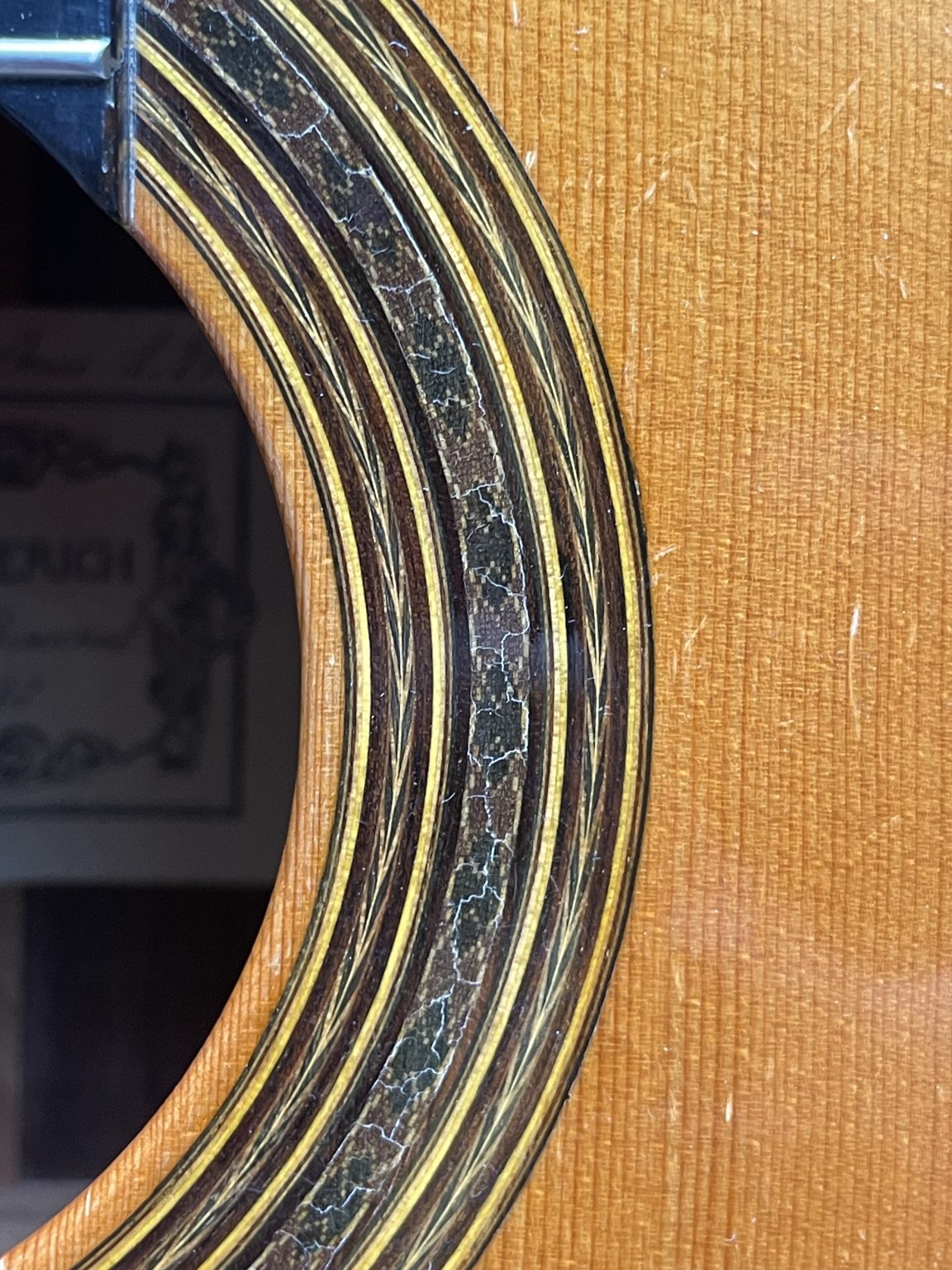 daniel friederich 1972